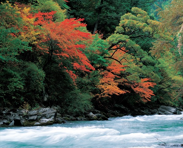 Miyaluo, province du Sichuan, Chine