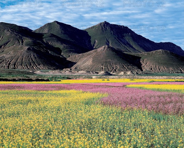 Xigaze, Tibet, China