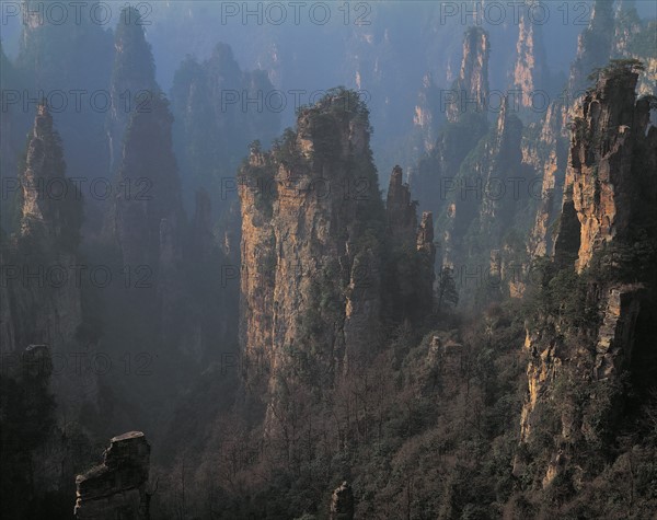 Le Mont Tianzi, Chine