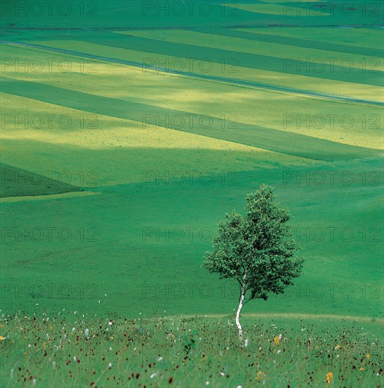 Paysage, Chine