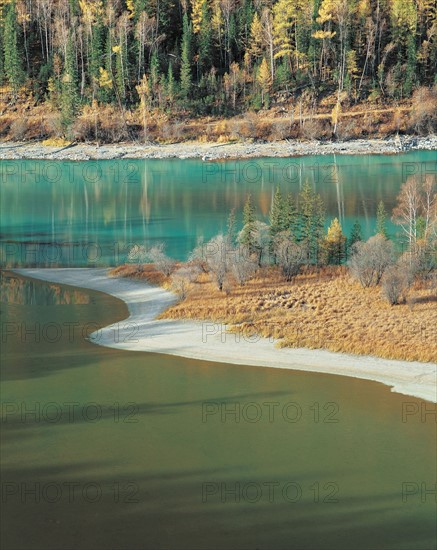 Forêt en bordure de lac, Chine