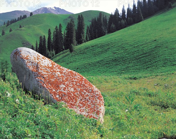 Pierre sur le flanc d'une colline, Chine