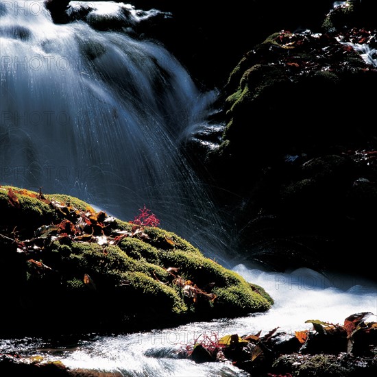 Vallée de Jiuzhai, Chine