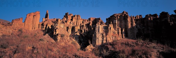 La forêt de Terre de Yuanmou, dans la province de Yunnan, Chine