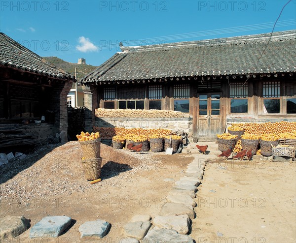 Cour intérieure, canton de Funing, province du Hebei, Chine