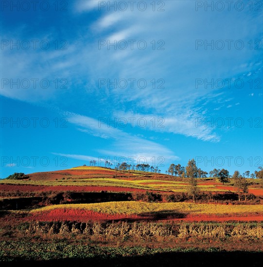 Terre rouge de Dongchuan, Chine