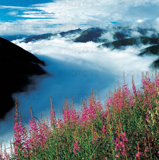 Montagnes et brouillard, Chine