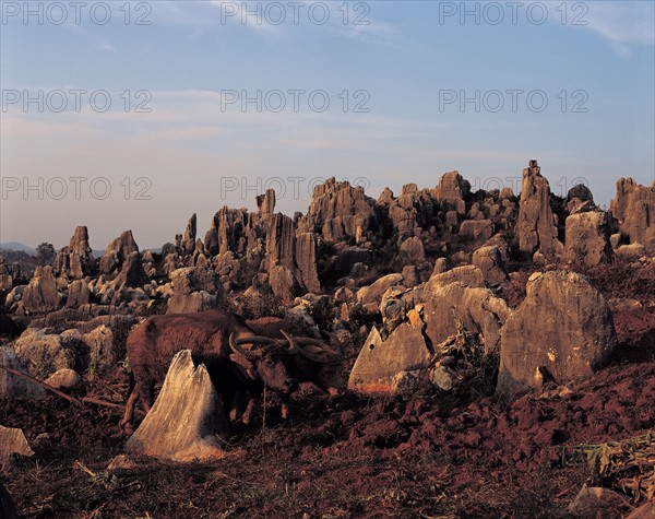 Mountainous relief, China