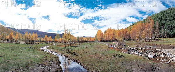 Plateau, Chine