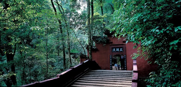 Forêt du Mont QingCheng, Chine