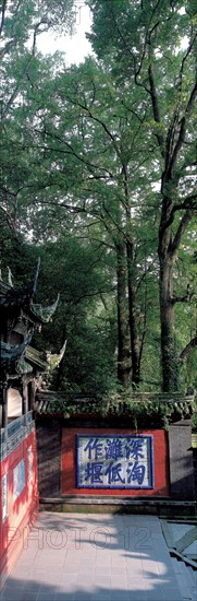 Twin-King Temple, China