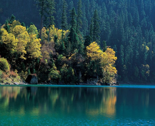 Forest and lake, China