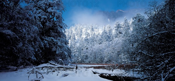 Glacier du Mont Gongga, Chine