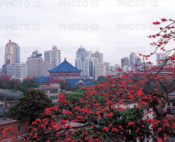 Arbre en fleurs, Chine