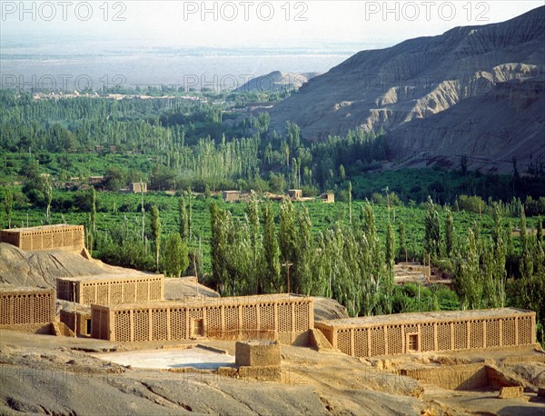 Grape valley, Xinjiang, China