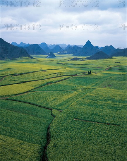 Cole field in Luoping,Yunnan,China