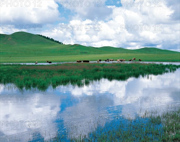 Scene of Bashang,Hebei Province,China