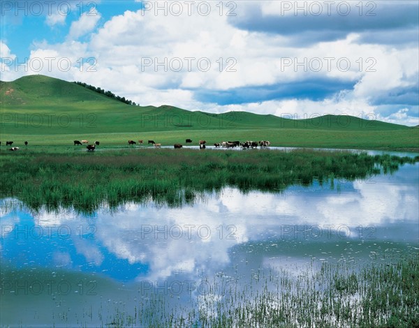 A scenery of the west of China