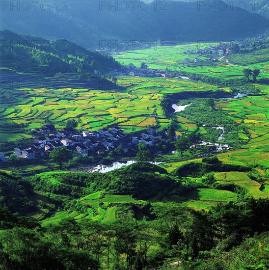 The terraces in Wuyuan,Jiangxi Province,China