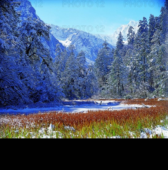 Hailuogou,Mt.Gongga,Sichuan Province,China