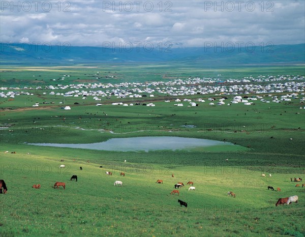 Horse race in Litang, Gyantse,Sichuan,China