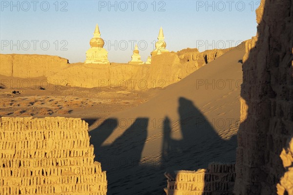 The ancient Heihe City ruins from Xixia Dynasty,China