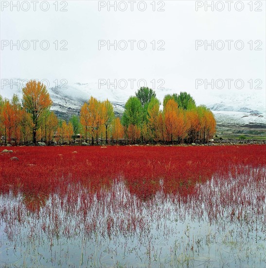 The landscape of Daocheng,Sichuan Province,China