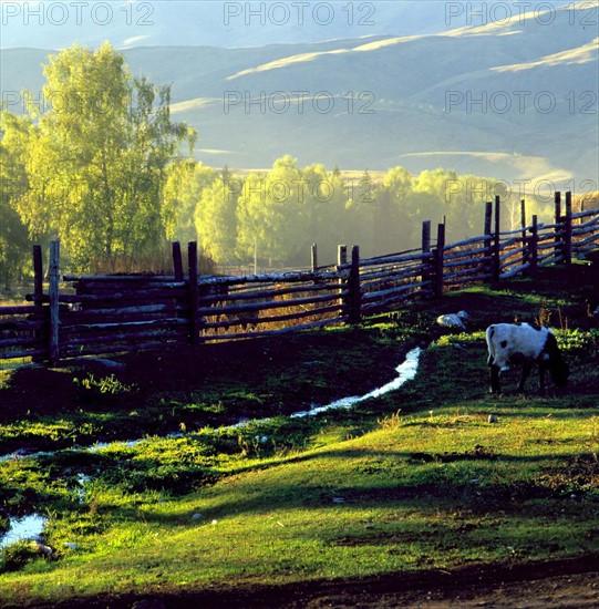 Baihaba Village,Sinkiang,China