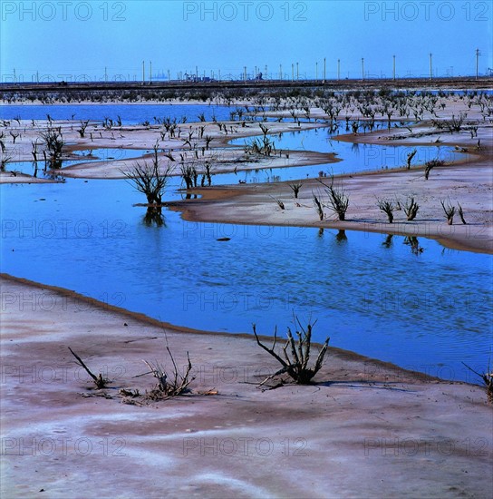 The sea entrance of Yellow River,China