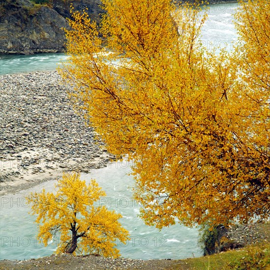 The landscape of Bashang,Hebei Province,China