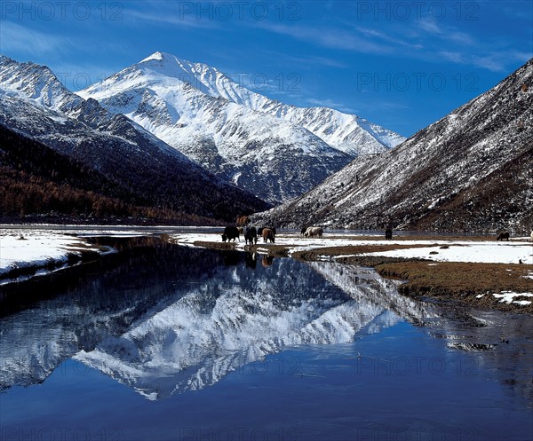 Le glacier de Hailuogou en Chine