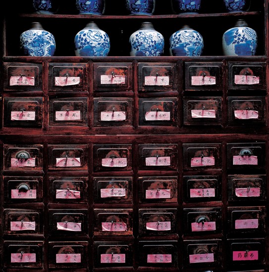 The cabinets of Traditional Chinese medicine at a clinic, Zhejiang Province, China