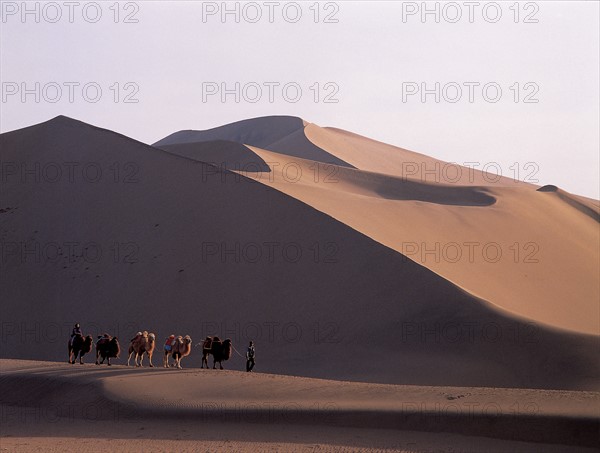 Caravan on Mingsha Hill,Gansu,China