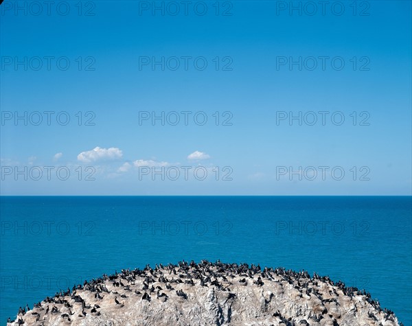 Birds Islet,Qinghai Lake,Qinghai,China