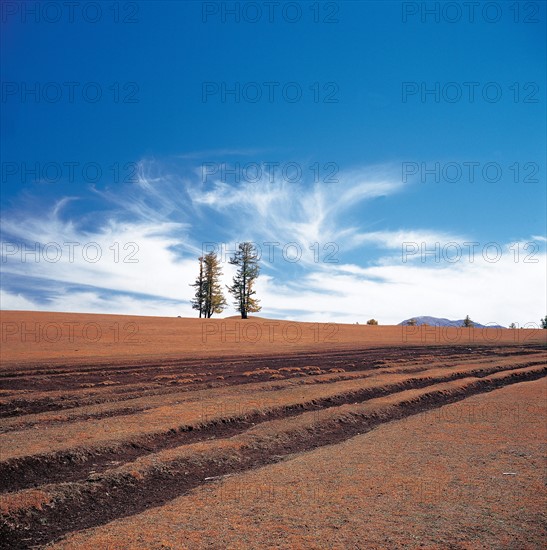 landscape of Balikun county,Xinjiang,China