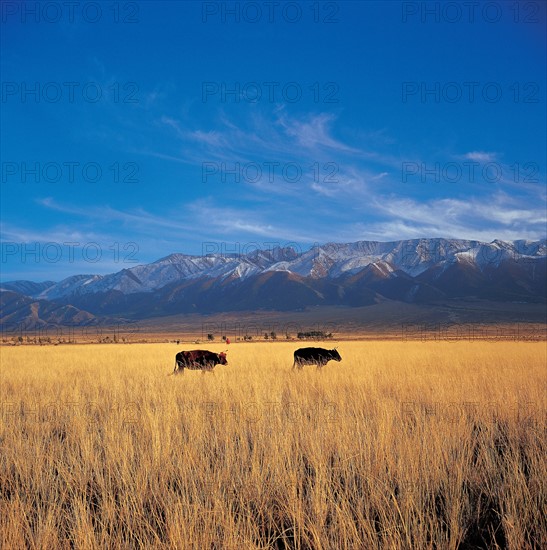 Landscape of Tianshan mountain,Xinjiang,China