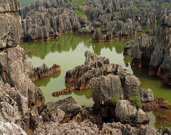 The Stone Forest,Yunnan Province,China