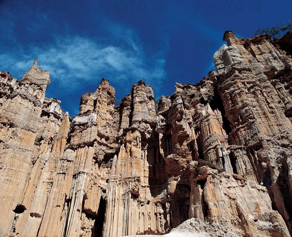 Yuanmou Clay forest in Yunnan,China