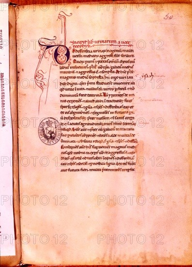 TEOFILO
MS L-III-18-INCIPIT LIBER URINARUM A VOCE THEOPHYLI.FOL 50
SAN LORENZO DEL ESCORIAL, MONASTERIO-BIBLIOTECA
MADRID

This image is not downloadable. Contact us for the high res.