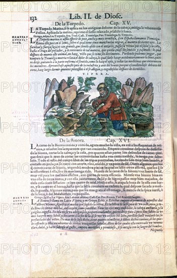Dioscorides, Medicine book