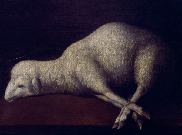 Zurbaran, Agnus Dei - Photo12-Oronoz