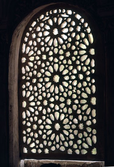 CELOSIA
GRANADA, ALHAMBRA
GRANADA