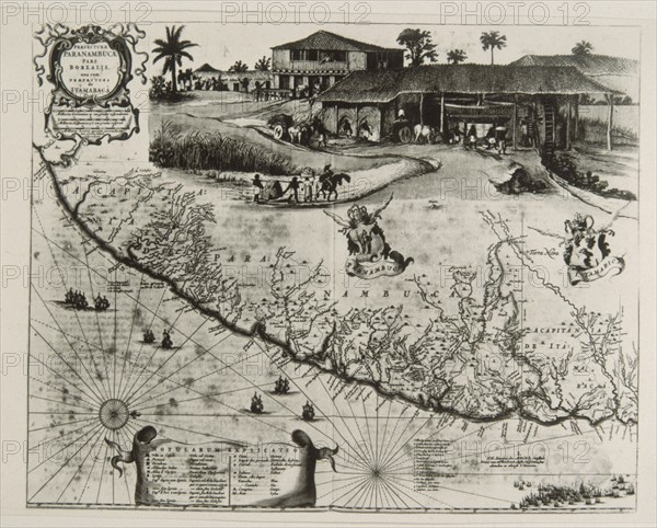 BLAEU WILLEM JANSZOON 1571/1638
GRABADO-MAPA DE LA CAPITANIA DE PERNAMBUCO(BRASIL)
PARIS, BIBLIOTECA NACIONAL
FRANCIA