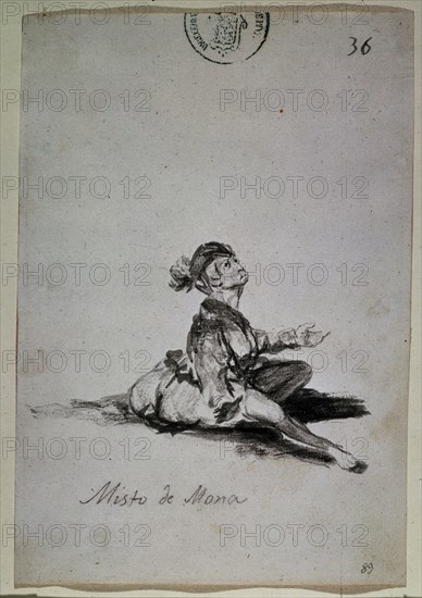 Goya, dessin (Petite guenon)