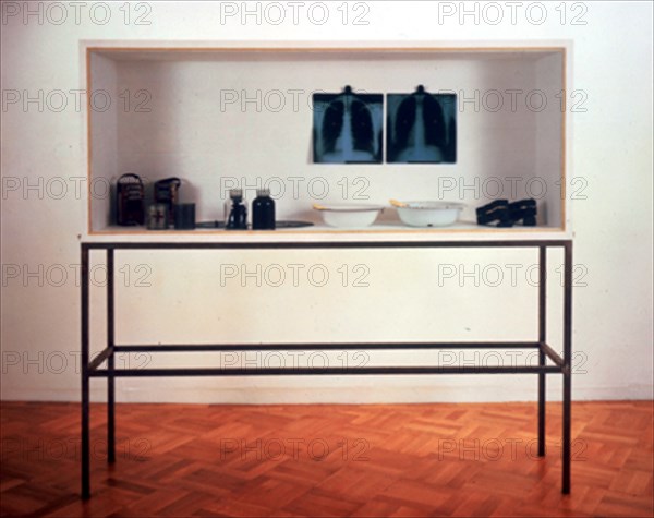 BEUYS JOSEPH 1921/86
DOBLES OBJETOS-1974-1979-VITRINA
LONDRES, GALERIA OFFAY
INGLATERRA