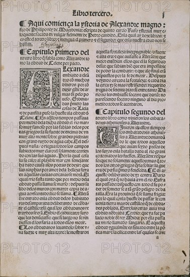 CURCIO RUFO Q
INCUNABLE-HISTORIA DE ALEJANDRO MAGNO-SEVILLA 1496
MADRID, SENADO-BIBLIOTECA
MADRID