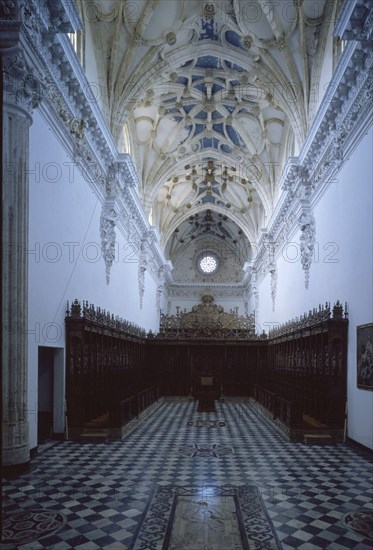 IGLESIA-CONJUNTO DEL CORO Y BOVEDA DE LA NAVE CENTRAL
JEREZ DE LA FRONTERA, CARTUJA
CADIZ