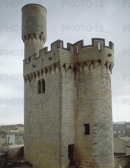 PALACIO REAL-DET TORREON ALMENADO
OLITE, CASTILLO-PALACIO REAL
NAVARRA