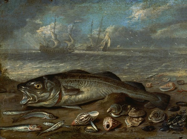 Van Kessel, Poissons et marine