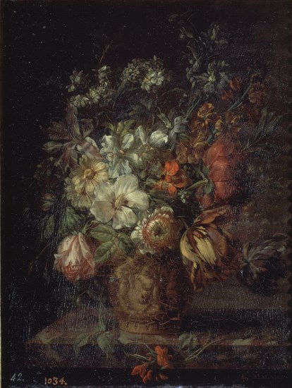 Malaine, Fleurs